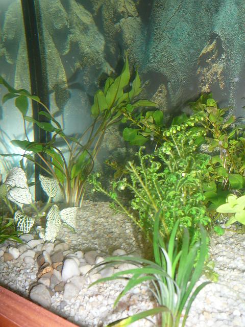 P1040344.JPG
