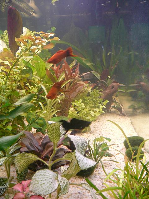 P1040471.JPG