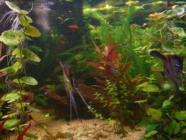 P1040657.JPG