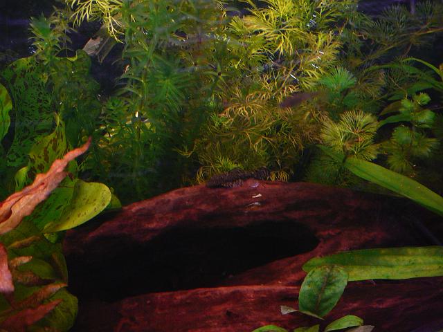 P1040725.JPG