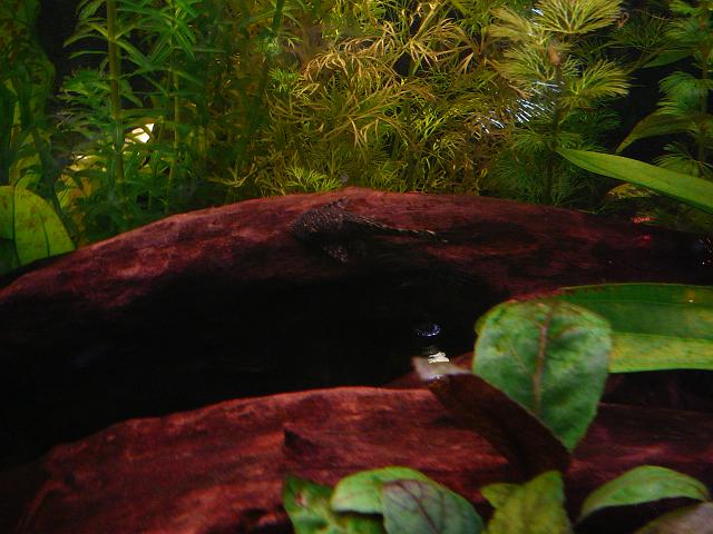 P1040731.JPG