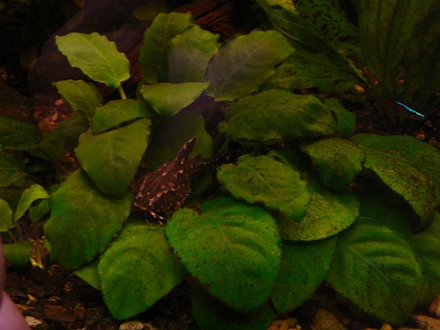 P1050494.JPG