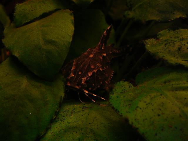 P1050497.JPG