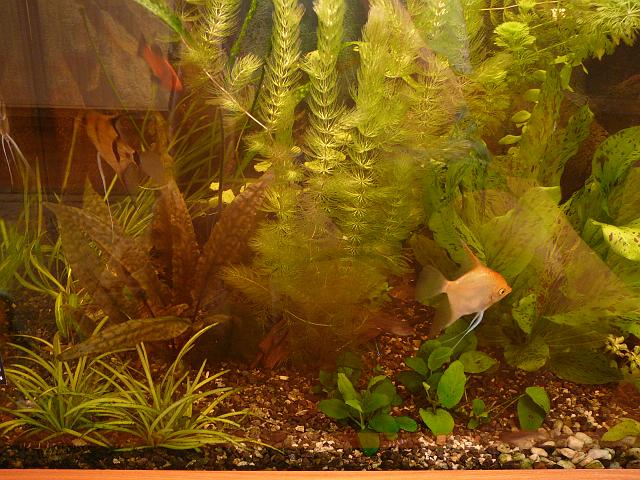 P1060191.JPG