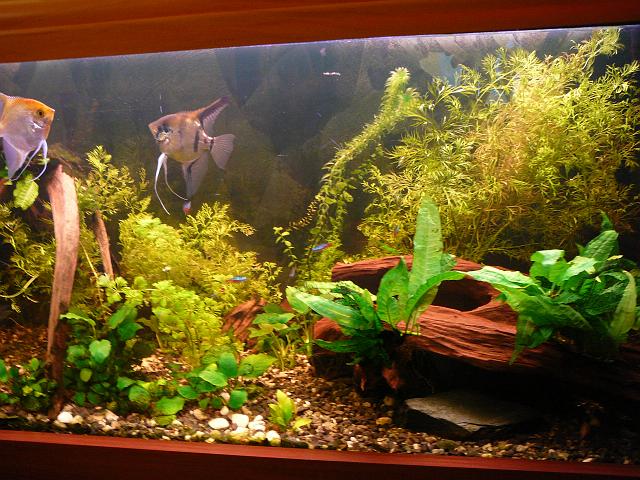 P1180591.JPG