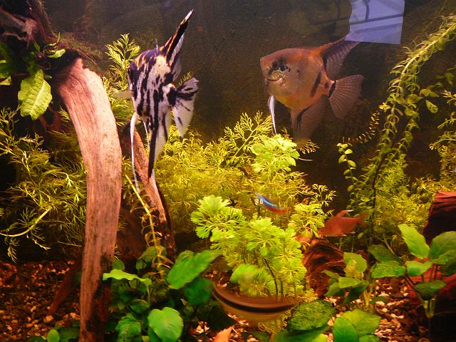 P1180599.JPG