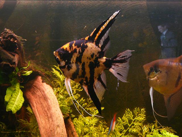 P1180621.JPG