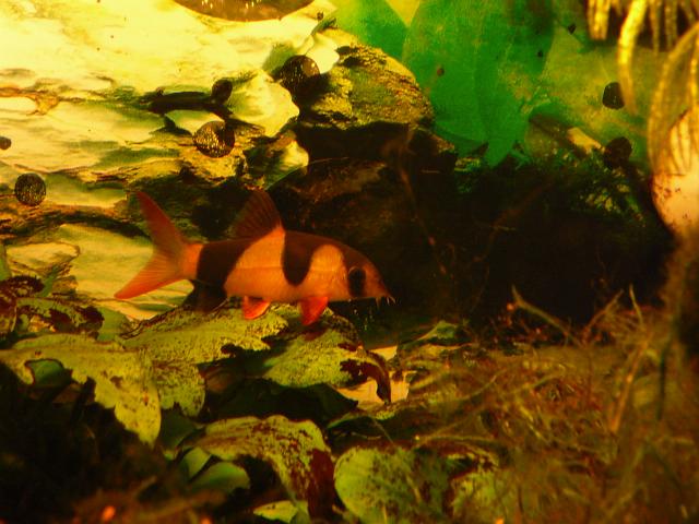 P1190769.JPG