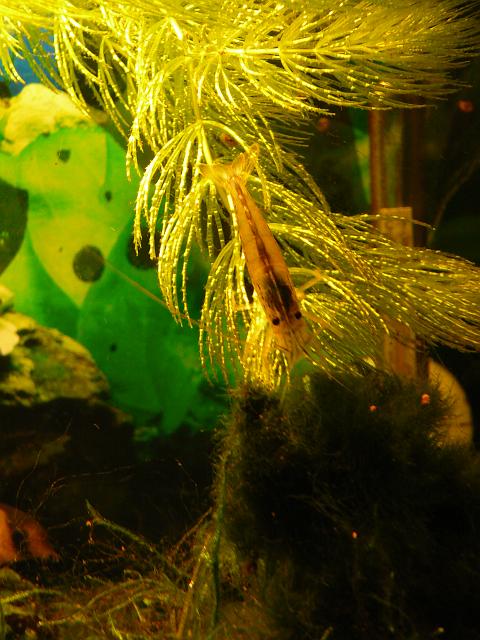 P1190774.JPG