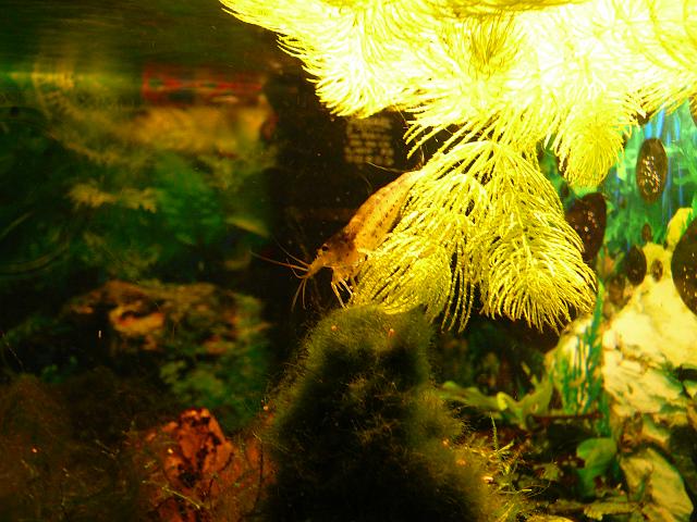 P1190783.JPG