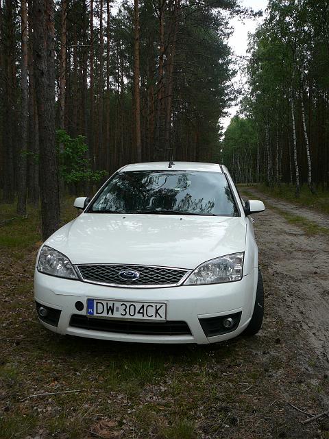 P1290488.JPG