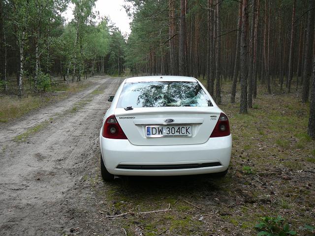 P1290493.JPG