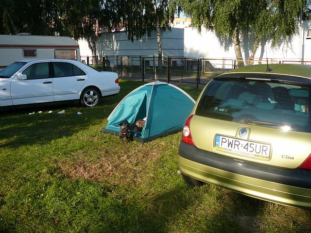 P1020989.JPG