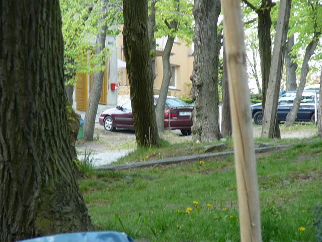 P1010355.JPG