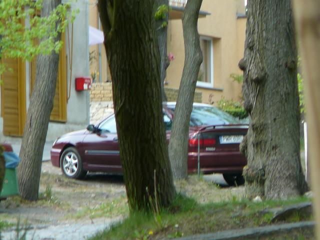 P1010356.JPG