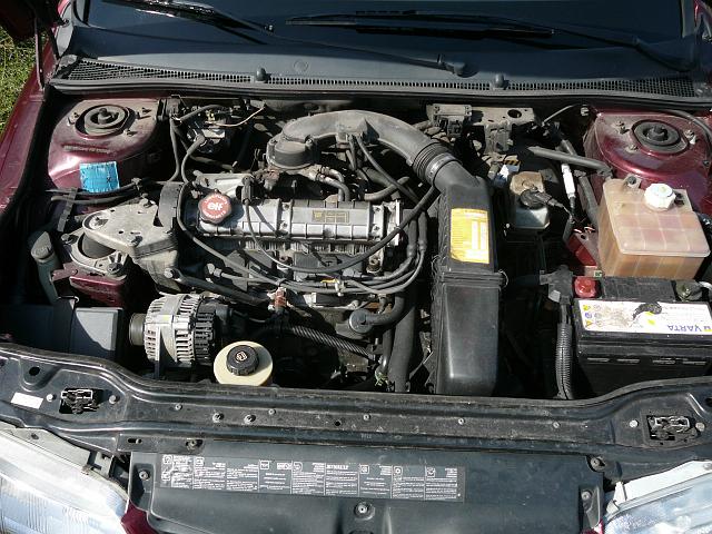 P1030851.JPG