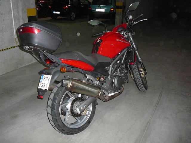 P1290593.JPG