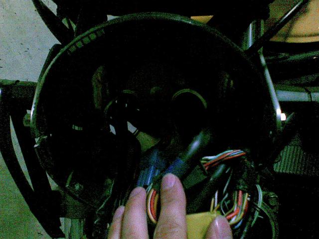 20090731(001).jpg
