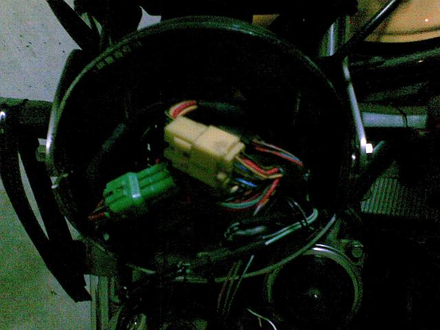 20090731.jpg