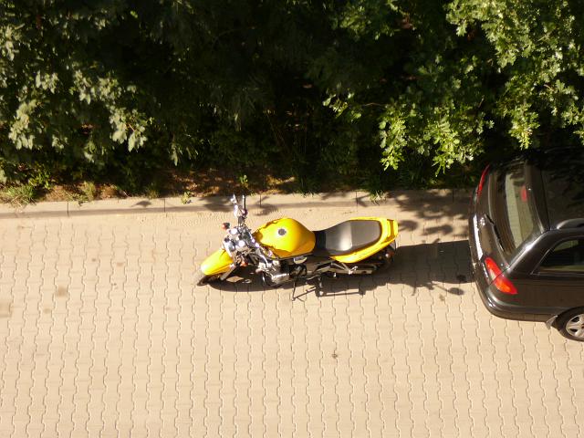 P1120304.JPG
