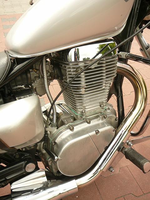 P1100197.JPG