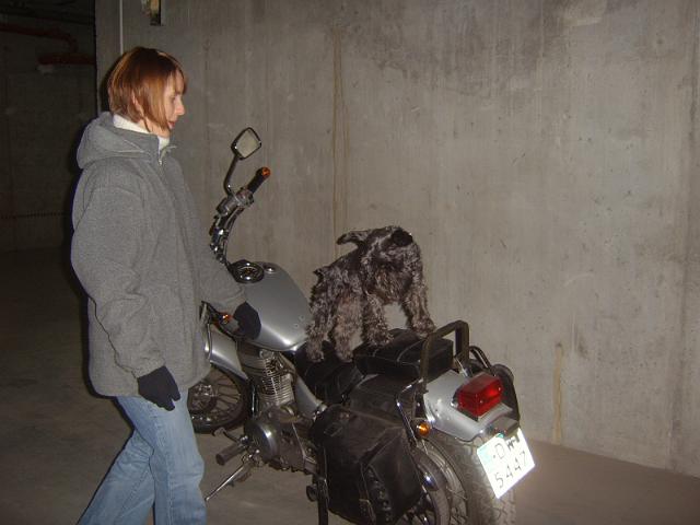 STA60060.JPG