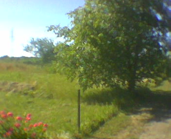 Zdjęcie009.jpg