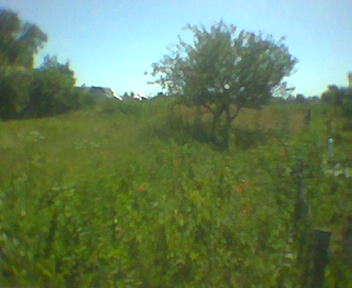 Zdjęcie014.jpg