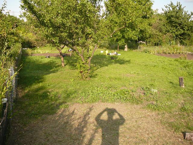P1060401.JPG