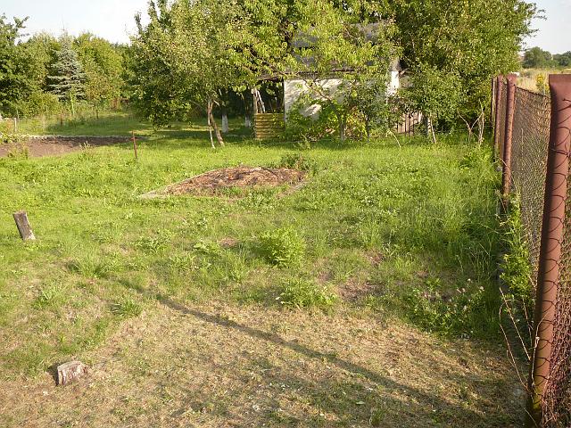 P1060403.JPG