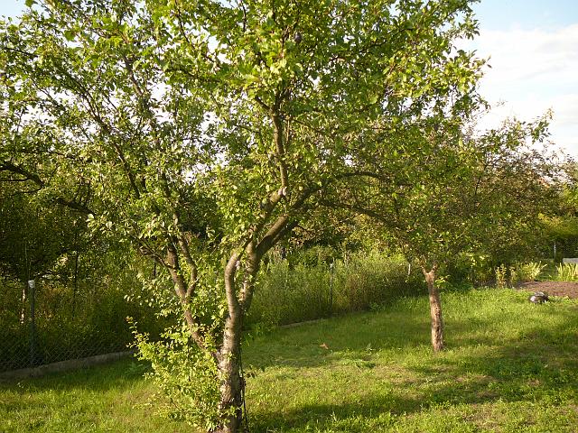 P1060408.JPG