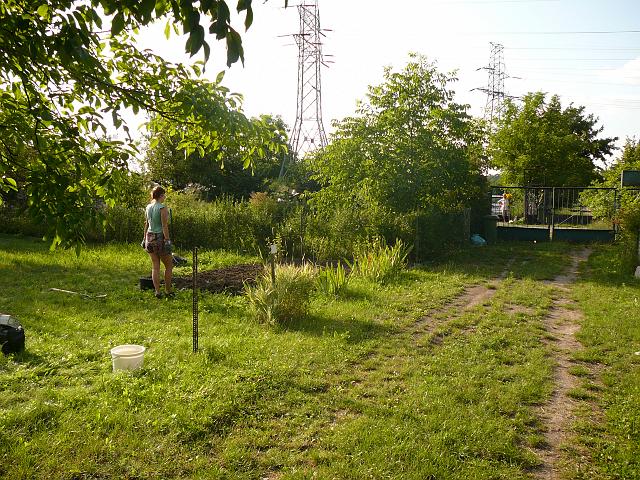 P1060420.JPG