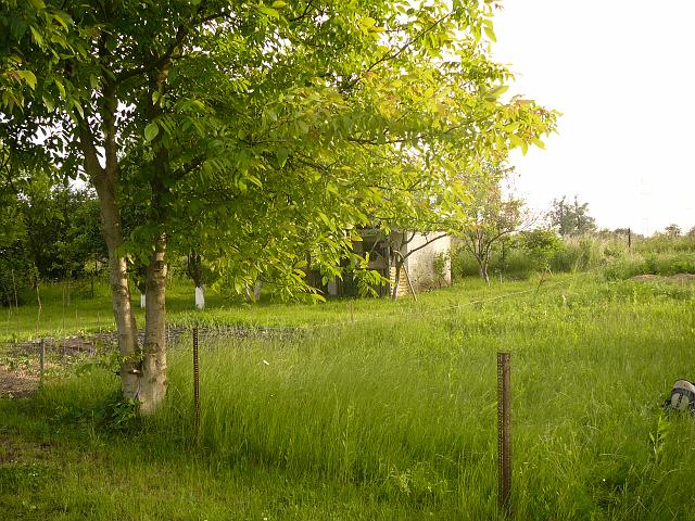 P1050983.JPG