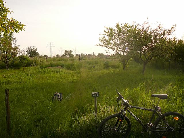 P1050984.JPG