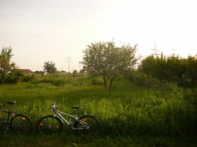 P1050985.JPG