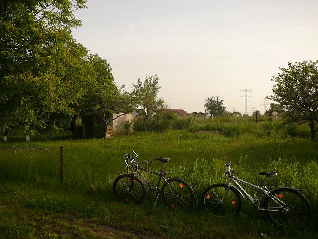 P1050986.JPG