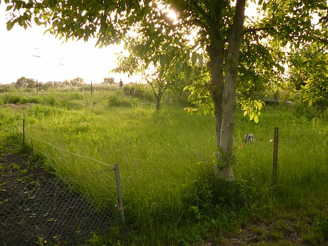 P1050988.JPG