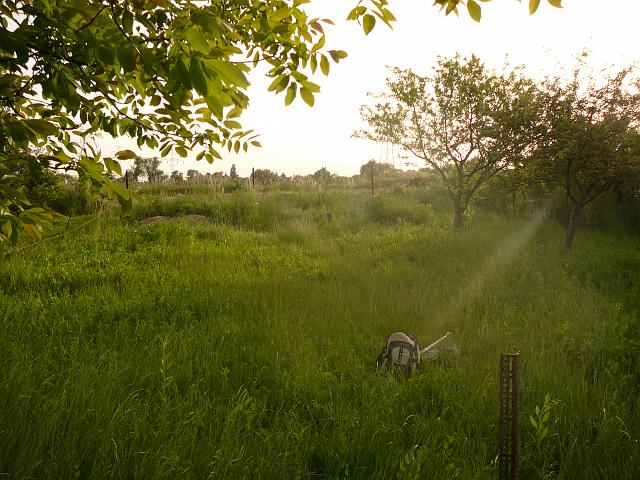 P1050990.JPG