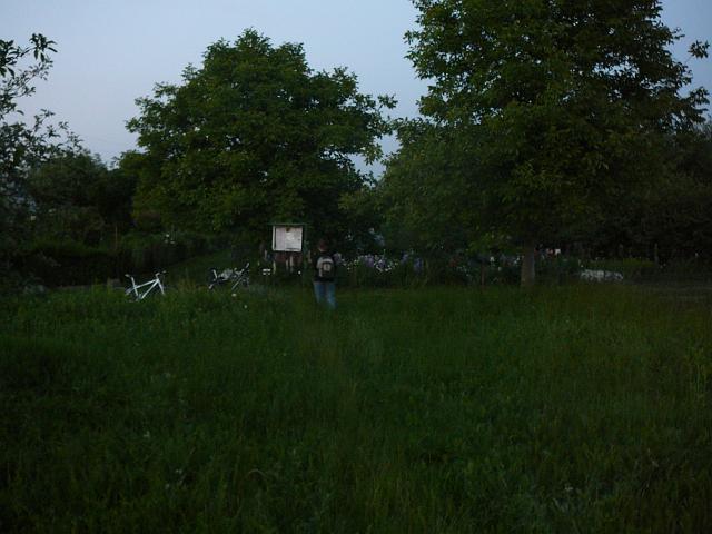 P1050994.JPG