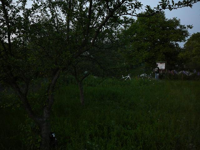 P1050995.JPG