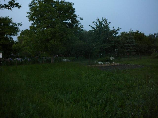 P1050996.JPG