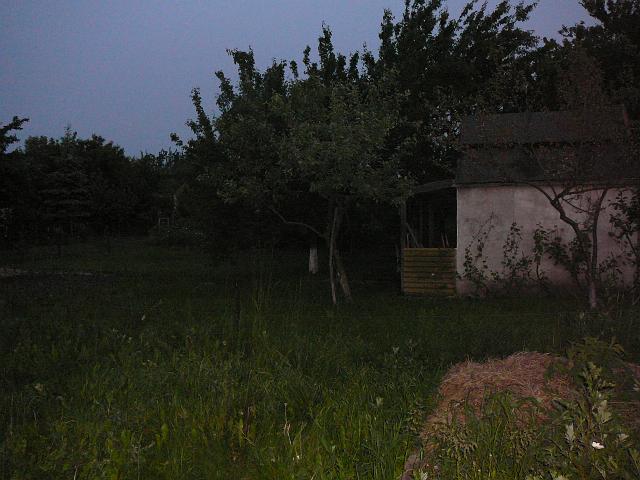 P1050999.JPG