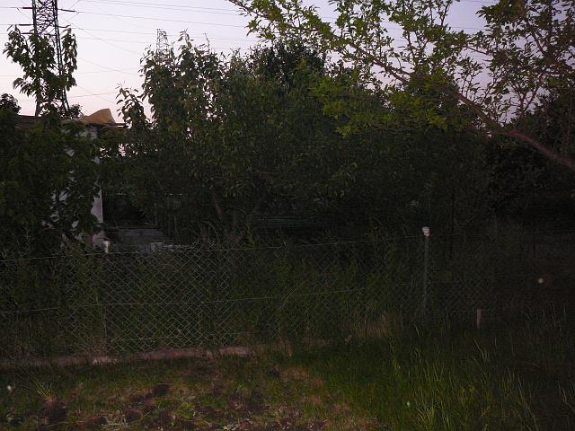 P1060001.JPG
