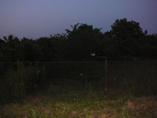 P1060002.JPG