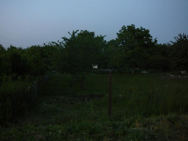 P1060006.JPG