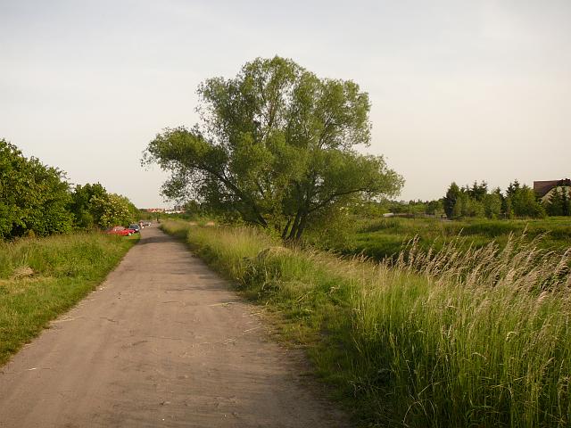 P1060007.JPG