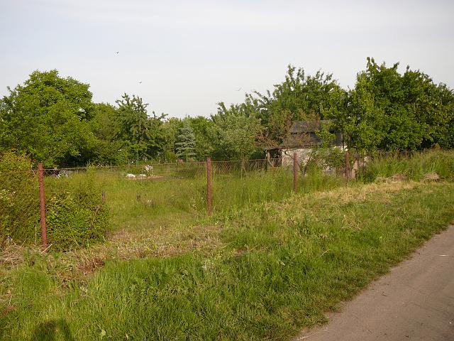 P1060009.JPG