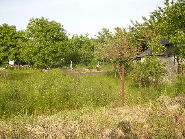 P1060013.JPG