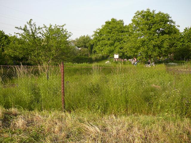 P1060016.JPG