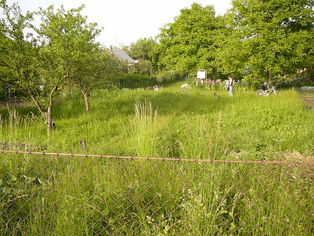 P1060017.JPG